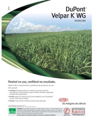 Revista Canavieiros - Setembro de 2007

 