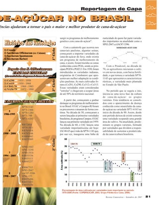 Reportagem de Capa

DE-AÇÚCAR NO BRASIL
DE-AÇÚCAR NO BRASIL

ências ajudaram a tornar o país o maior e melhor produtor de cana-de-açúcar
surgir os programas de melhoramento
genético com cana-de-açúcar".
Com a catástrofe que ocorreu nos
canaviais paulistas, algumas usinas,
começaram a importar variedades de
cana-de-açúcar de Java, onde existia
um programa de melhoramento de
cana, e assim, foram trazidas as canas
conhecidas como POJs, sendo as principais POJ36 e POJ213. Em 1930, foram
introduzidas as variedades indianas,
originárias de Coimbatore que apresentavam melhor adaptação as condições paulistas. As mais cultivadas foram a Co281, Co290, Co312 e Co313.
Essas variedades eram consideradas
"estrelas" e chegavam a ocupar áreas
de até 50% do território nacional.
A partir daí, começaram a ganhar
destaque os programas de melhoramento no Brasil. O IAC e Campos-RJ foram
os precursores e atuaram de forma contínua. Na década de 50, começaram a
serem lançadas as primeiras variedades
brasileiras, do programa Campos. O IAC
lançou sua primeira variedade em 1959.
Na década de 60, o IAC lançou uma
variedade importantíssima até hoje:
IAC48-65 que é mãe da SP70-1143 que,
por sua vez, inaugurou uma linha de

rusticidade de quem faz parte variedades importantes na atualidade como a
SP83-2847 e a IAC87-3396.

Com o Proalcool, na década de
70, os agricultores iniciaram o cultivo em novas áreas, com baixa fertilidade, o que tornou a variedade SP701143 que apresentava características
rústicas, a variedade mais plantada
no Estado de São Paulo.
No período que se seguiu a isto,
iniciou-se uma nova fase da cultura
de cana-de-açúcar: os grupos
varietais. Esta tendência se consolidou com o aparecimento da doença
conhecida como amarelinho da canade-açúcar na variedade SP71-6163 no
início da década de 90. Assim, desde
este período deixou de existir somente
uma variedade ocupando uma grande
área de cultivo. Na atualidade, predominam os grupos varietais, formado
por variedades que dividem a responsabilidade de sustentar a produtividade da canavicultura brasileira.

Revista Canavieiros - Setembro de 2007

21

 