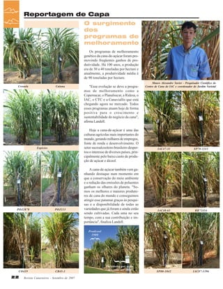 Reportagem de Capa
O surgimento
dos
programas de
melhoramento
Os programas de melhoramento
genético da cana-de-açúcar foram promovendo freqüentes ganhos de produtividade. Há 100 anos, a produção
era de 30 a 40 toneladas por hectare e
atualmente, a produtividade média é
de 90 toneladas por hectare.
Creoula

Caiana

Hoje a cana-de-açúcar é uma das
culturas agrícolas mais importantes do
mundo, gerando milhares de empregos,
fonte de renda e desenvolvimento. O
setor sucroalcooleiro brasileiro despertou o interesse de diversos países, principalmente pelo baixo custo de produção de açúcar e álcool.

Espécies

POJ2878

"Essa evolução se deve a programas de melhoramento como a
Copersucar, o Planalsucar, a Ridesa, o
IAC, o CTC e a Canaviallis que está
chegando agora no mercado. Todos
esses programas atuam hoje de forma
positiva para o crescimento e
sustentabilidade do negócio da cana",
afirma Landell.

POJ213

A cana-de-açúcar também vem ganhando destaque num momento em
que a conservação do meio ambiente
e a redução das emissões de poluentes
ganham os olhares do planeta. "Somos os melhores e maiores produtores de cana do mundo e conseguimos
atingir esse patamar graças às pesquisas e a disponibilidade de todas as
variedades que já foram e ainda estão
sendo cultivadas. Cada uma no seu
tempo, com a sua contribuição e importância", finaliza Landell.

Mauro Alexandre Xavier - Pesquisador Cientifíco do
Centro de Cana do IAC e coordenador do Jardim Varietal

IAC47-31

SP70-1143

IAC48-65

RB72454

SP80-1842

IAC87-3396

}

Proálcool
1980

}

CO419

22

CB45-3

Revista Canavieiros - Setembro de 2007

Variedades que serão
lançadas até 2008

 
