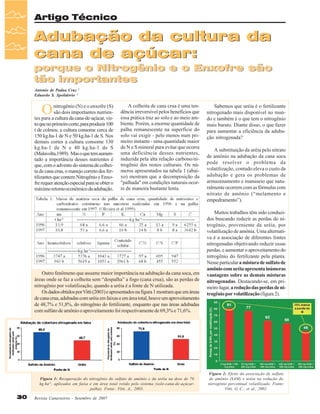 Artigo Técnico

Adubação da cultura da
cana de açúcar:
porque o Nitrogênio e o Enxofre são
tão importantes
Antonio de Padua Cruz 1
Eduardo S. Spolidorio 2

O

nitrogênio (N) e o enxofre (S)
são dois importantes nutrientes para a cultura da cana-de-açúcar, visto que no primeiro corte, para produzir 100
t de colmos, a cultura consome cerca de
150 kg.ha-1 de N e 50 kg.ha-1 de S. Nos
demais cortes a cultura consome 130
kg.ha-1 de N e 40 kg.ha-1 de S
(Malavolta,1989). Mas o que tem aumentado a importância desses nutrientes é
que, com o advento do sistema de colheita de cana crua, o manejo correto dos fertilizantes que contem Nitrogênio e Enxofre requer atenção especial para se obter o
máximo retorno econômico da adubação.

A colheita de cana crua é uma tendência irreversível pelos benefícios que
essa prática traz ao solo e ao meio ambiente. Porém, a enorme quantidade de
palha remanescente na superfície do
solo vai exigir - pelo menos num primeiro instante - uma quantidade maior
de N e S mineral para evitar que ocorra
uma deficiência desses nutrientes,
induzida pela alta relação carbono/nitrogênio dos restos culturais. Os números apresentados na tabela 1 (abaixo) mostram que a decomposição da
"palhada" em condições naturais ocorre de maneira bastante lenta.

Outro fenômeno que assume maior importância na adubação da cana soca, em
áreas onde se faz a colheita sem “despalha” a fogo (cana crua), são as perdas de
nitrogênio por volatilização, quando a uréia é a fonte de N utilizada.
Os dados obtidos por Vitti (2003) e apresentados na figura 1 mostram que em áreas
de cana crua, adubadas com uréia em faixas e em área total, houve um aproveitamento
de 48,7% e 51,8%, do nitrogênio do fertilizante, enquanto que nas áreas adubadas
com sulfato de amônio o aproveitamento foi respectivamente de 69,3% e 71,6%.

Figura 1: Recuperação do nitrogênio do sulfato de amônio e da uréia na dose de 70
kg.ha-1, aplicados em faixa e em área total retido pelo sistema (solo-cana-de-açúcarpalha). Fonte: Vitti, A., 2003.

30

Revista Canavieiros - Setembro de 2007

Sabemos que uréia é o fertilizante
nitrogenado mais disponível no mundo e também é o que tem o nitrogênio
mais barato. Diante disso, o que fazer
para aumentar a eficiência da adubação nitrogenada?
A substituição da uréia pelo nitrato
de amônio na adubação da cana soca
pode resolver o problema da
volatilização, contudo eleva o custo da
adubação e gera os problemas de
armazenamento e manuseio que naturalmente ocorrem com as fórmulas com
nitrato de amônio (“melamento e
empedramento”).
Muitos trabalhos têm sido conduzidos buscando reduzir as perdas do nitrogênio, proveniente da uréia, por
volatilização de amônia. Uma alternativa é a associação de diferentes fontes
nitrogenadas objetivando reduzir essas
perdas, e aumentar o aproveitamento do
nitrogênio do fertilizante pela planta.
Nesse particular a mistura de sulfato de
amônio com uréia apresenta inúmeras
vantagens sobre as demais misturas
nitrogenadas. Destacando-se, em primeiro lugar, a redução das perdas de nitrogênio por volatilização (figura 2).

Figura 2: Efeito da associação de sulfato
de amônio (SAM) e uréia na redução do
nitrogênio percentual volatilizado. Fonte:
Vitti, G. C.; et al., 2002.

 