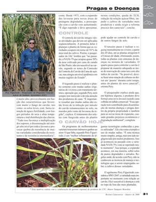 Pragas e Doenças
conta. Desde 1975, com a expansão
das lavouras para novas áreas de
pastagens degradadas, a preocupação com o carvão vem aumentando.
“É algo esperado e deve apresentar,

nestas condições, queda do TCH,
redução da relação açúcar/fibra, impedir o cultivo de variedades mais
produtivas e ainda exigir a reforma
precoce dos canaviais”, conclui.

CONTROLE
O controle do carvão integra várias atividades que devem ser aplicadas
seqüencialmente. A primeira delas é
planejar o plantio de forma que as variedades ocupem em torno de 10 % da
área total de cultivo. Porém, o pesquisador do IAC lembra que “no passado, a NA56-79 que ocupou quase 50%
da área cultivada por cana do estado
de São Paulo, não era suscetível ao carvão, segundo os testes da Comissão
de Controle do Carvão da Cana-de-açúcar, mas atingiu um nível epidêmico em
muitas regiões do Estado”.

Pery Figueiredo - Pesquisador do Programa Cana-deAçúcar do Instituto Agronômico (IAC)

é muito alto, provavelmente em função das características que favorecem muito o fungo do carvão, tais
como: os solos leves, com baixa retenção de água e fertilidade, com longos períodos de seca e altas temperaturas e mal distribuição das chuvas.
“Tudo isso favorece a multiplicação
dos esporos, a disseminação até atingir alto nível por toda a lavoura e provocar quebra da resistência de muitas variedades consideradas de resistentes e de resistência intermediária”,

O segundo passo é realizar o plantio somente com mudas sadias originárias de viveiros com tratamento térmico, operação que, segundo Pery, nem
sempre tem merecido a devida atenção
dos produtores de cana. “É importante ressaltar que mudas sadias não estão livres de re-infecção por inóculo
do carvão remanescentes no solo, ou
trazidos pelo vento de lavouras da região”, explica. O tratamento dos toletes com fungicida antes do plantio

pode ajudar no controle do carvão e
de outros fungos do solo.
O terceiro passo é realizar o roguing mensalmente no viveiro, a partir
dos 45 dias, até as plantas atingirem 6
a 8 meses de idade, eliminando, assim,
todas as plantas com sintomas de doenças ou mistura de variedades. O
quarto passo para controlar o carvão é
preparar de maneira adequada as áreas de renovação de canaviais com alto
índice de carvão. “Se possível, devese fazer uma rotação de culturas ou deixar em ‘pousio’ durante certo tempo,
antes do plantio do novo canavial”,
orienta Pery.
O pesquisador explica ainda que,
em hipótese alguma, o produtor deve
formar uma nova lavoura usando cana
colhida em talhão comercial. “Essa operação tem contribuído para disseminação de muitas doenças e pragas dentro da própria propriedade e também
para as novas áreas de expansão, causado grandes prejuízos econômicos e
degradação ambiental”, completa.

O CARVÃO HOJE
Os programas de melhoramentos
varietais trouxeram inúmeros ganhos ao
setor. O que falta, segundo Pery Figueiredo, é um “melhor refinamento de al-

gumas tecnologias conhecidas e pouco utilizadas”. Ele cita como exemplo o
uso de mudas sadias. “É uma técnica
muito simples, antiga, mas tem sido negligenciado por muitos produtores. Isso
já aconteceu no passado com a variedade NA56-79 e está se repetindo neste momento”. Isso porque, a expansão
acontece, em sua maioria, sobre solos
de pastos degradados e serrados. Regiões onde, de acordo com Pery, não se
conhecem as técnicas de manejo e tecnologias que a serem empregadas sobre o cultivo dessas variedades.
O agrônomo Pery Figueiredo considera a SP83-2847, a variedade mais importante no momento com relação ao
carvão. Ela é suscetível à doenças e está
no topo da lista das mais plantadas.

* Esta matéria contou com a colaboração do gerente regional de produtos do CTC, Mauro Sampaio Benedini.
Revista Canavieiros - Janeiro de 2008

31

 