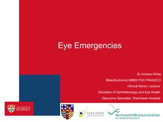 Eye Emergencies
Dr Andrew White
BMedSci(hons) MBBS PhD FRANZCO
Clinical Senior Lecturer
Discipline of Ophthalmology and Eye Health
Glaucoma Specialist, Westmead Hospital
 