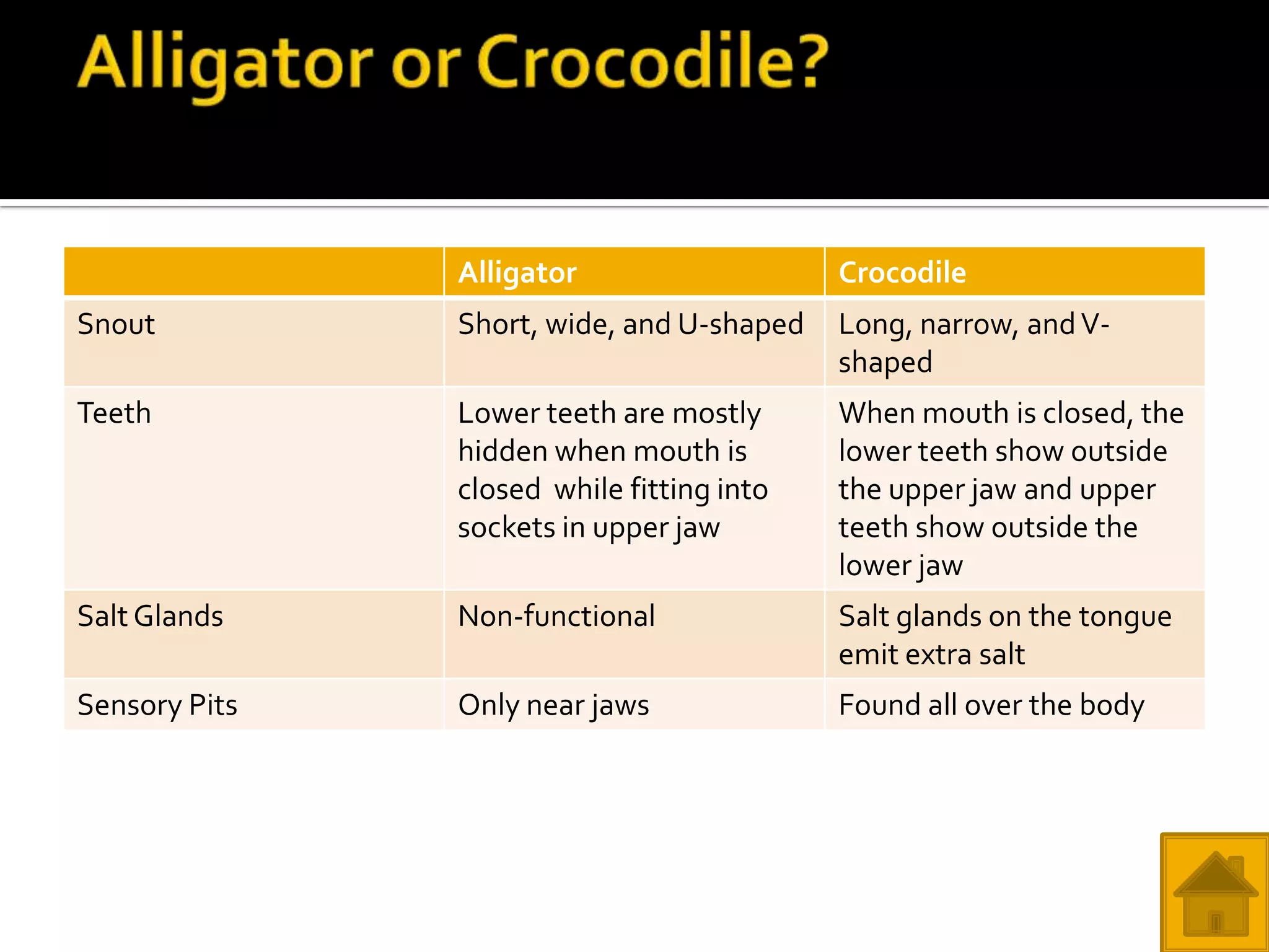 Alligator                   Crocodile
Snout          Short, wide, and U-shaped   Long, narrow, and V-
                                           shaped
Teeth          Lower teeth are mostly      When mouth is closed, the
               hidden when mouth is        lower teeth show outside
               closed while fitting into   the upper jaw and upper
               sockets in upper jaw        teeth show outside the
                                           lower jaw
Salt Glands    Non-functional              Salt glands on the tongue
                                           emit extra salt
Sensory Pits   Only near jaws              Found all over the body
 