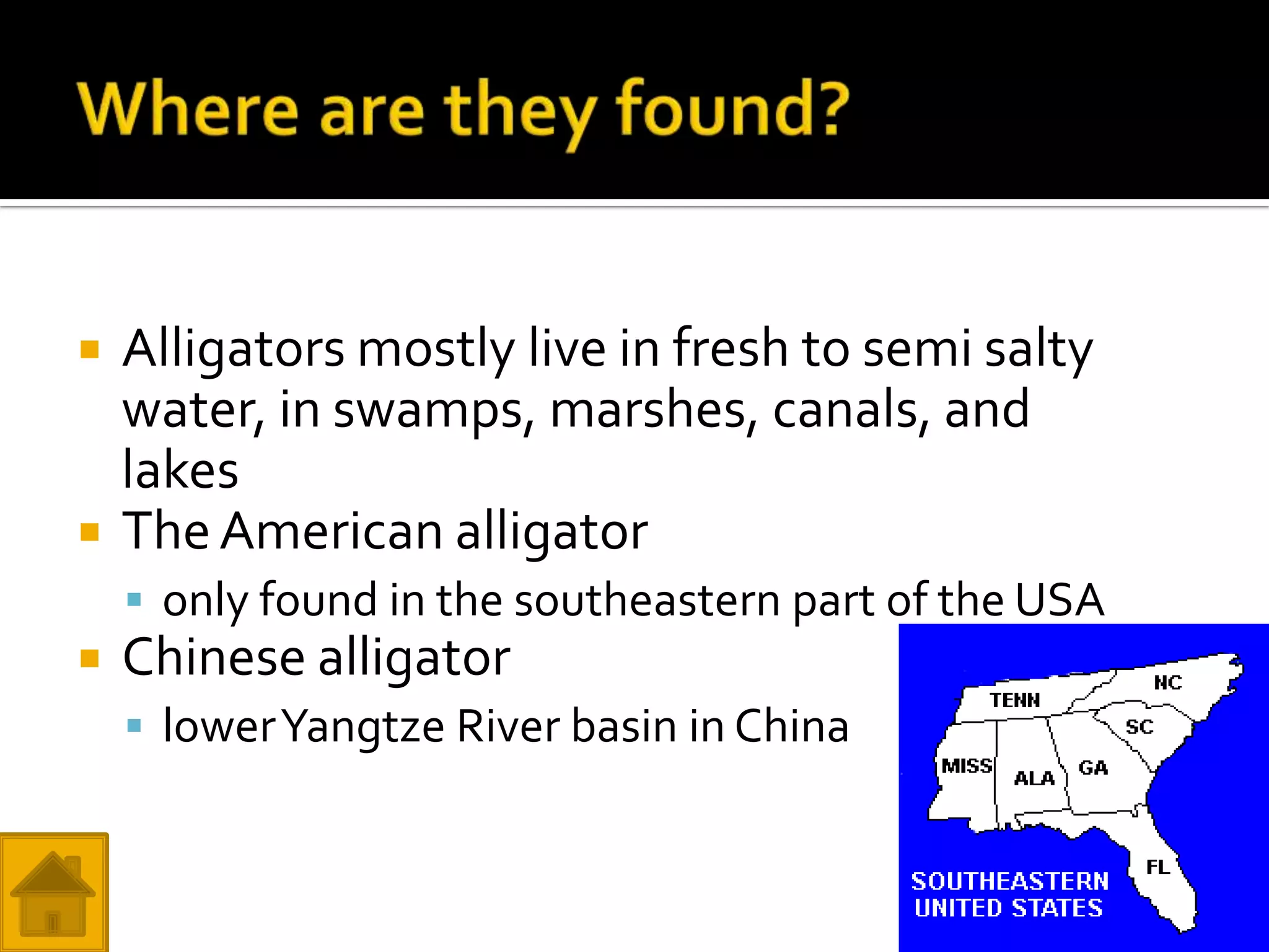   Alligators mostly live in fresh to semi salty
    water, in swamps, marshes, canals, and
    lakes
   The American alligator
     only found in the southeastern part of the USA
   Chinese alligator
     lower Yangtze River basin in China
 