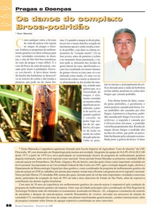 Pragas e Doenças

Os danos do complexo
Broca-podridão
* Sizuo Matsuoka

C

omo qualquer outra, a lavoura
de cana-de-açúcar está sujeita
ao ataque de pragas e doenças. Embora os programas de melhoramento genético envidem esforços para
criar variedades resistentes às doenças, e elas de fato têm boa resistência,
no caso de pragas é mais difícil. É o
caso da broca da cana-de-açúcar, causado pelo inseto Lepidóptero Diatraea saccharalis. A larva desse inseto
da família das borboletas se desenvolve no interior do colmo e daí resulta o
prejuízo, que pode ser de várias for-

mas: (1) quando o ataque se dá em plantas jovens o inseto danifica a região do
meristema apical e então resulta a morte do perfilho, cujo dano se chama comumente de "coração morto"; (2) na
fase jovem, antes de penetrar o colmo
e no momento dessa penetração, o inseto pode se alimentar dos tecidos da
gema lateral da cana, danificando-a e
com isso resultando em menor número
de gemas viáveis se esta cana vir a ser
utilizada como muda; (3) uma vez no
interior do colmo o inseto se desenvolve alimentando-se dos tecidos do mesmo, criando uma
galeria que, se a
intensidade de
ataque é alta,
muitas reunidas
no mesmo colmo
danificam-no totalmente, a ponto de secá-lo, ou
quando a galeria
é circular no
ponto logo acima do nó, quebrá-lo; (4) a partir da lesão no
tecido do colmo
deixado pela larvinha ao pene-

trar no mesmo e, principalmente do orifício deixado para a saída da borboleta
na fase adulta, penetram no colmo dois
fungos que causam podridão.
Esta última forma de dano, causado pelas podridões, é geralmente o
maior prejuízo causado pela broca. Essas podridões são causadas por dois
fungos. A primeira é a fusariose, podridão causada pelo fungo Fusarium moniliforme; a segunda é causada por
Colletotrichum falcatum, a podridão
vermelha propriamente dita. Resulta do
ataque desses fungos a podridão dos
tecidos do colmo, que pode ser percebida facilmente pela coloração avermelhada junto à galeria da broca. O dano

* Sizuo Matsuoka é engenheiro-agrônomo formado pela Escola Superior de Agricultura “Luiz de Queiróz” da USP,
Piracicaba, SP, com doutorado em fitopatologia pela mesma universidade. Integrante da equipe do IAA/PLANALSUCAR
desde 1973 a partir de 1979 teve ativa participação na reestruturação técnica do programa de melhoramento genético
daquela instituição, tanto em nível regional como nacional. Nesse período foram liberadas as primeiras variedades RB de
cana-de-açúcar em Pernambuco, São Paulo, Alagoas e Rio de Janeiro, uma das quais é hoje a mais importante variedade em
nível nacional. Incorporando-se na Universidade Federal de São Carlos em 1991, após a extinção daquele órgão, chefiou o
Departamento de Bioteconologia Vegetal por duas gestões e, como coordenador do programa de melhoramento genético da
cana-de-açúcar na UFSCar, trabalhou ativamente para manter e tornar mais eficiente o programa em nível regional e nacional.
Nesse período liberou 19 variedades RB, muitas das quais, fazendo parte do rol das mais importantes variedades comerciais
atuais, participam da ocupação de mais de 50% de toda a área canavieira do Estado de São Paulo, além de expressiva
contribuição nas demais regiões brasileiras.
Com mais de 30 anos de experiência em melhoramento genético da cana-de-açúcar é responsável pela condução do
programa de melhoramento genético da empresa. Entre suas atividades principais está a coordenação do Pólo Regional de
Tecnologia Nordeste onde são realizados os cruzamentos, localizado em Maceió - AL, a diagnose e orientações de controle
de anomalias e doenças da cana-de-açúcar, controle fitossanitário de viveiros, inovação nos processos de seleção de
variedades CV, coordenação dos testes de campo com plantas transformadas geneticamente, contatos internacionais, além
da pesquisa constante sobre formas de agregar expressiva contribuição ao setor canavieiro.
32

Revista Canavieiros - Fevereiro de 2008

 