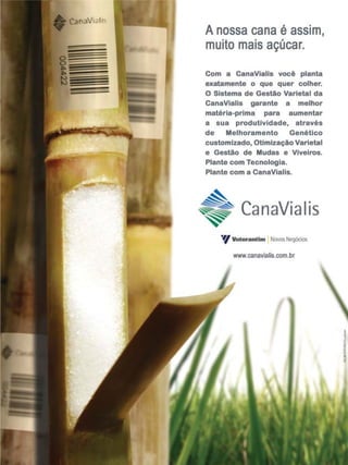 Revista Canavieiros - Fevereiro de 2008

39

 