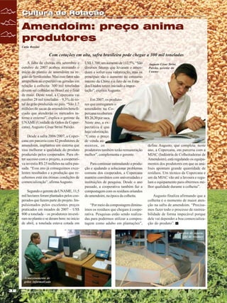 Cultura de Rotação

Amendoim: preço anima
produtores
Carla Rossini

Com cotações em alta, safra brasileira pode chegar a 300 mil toneladas
A falta de chuvas em setembro e
outubro de 2007 acabou atrasando o
início do plantio de amendoim na região de Sertãozinho. Mas esse fator não
atrapalhou as expectativas geradas em
relação à colheita: 300 mil toneladas
devem ser colhidas no Brasil até o final
de maio. Deste total, a Copercana vai
receber 28 mil toneladas – 9,3% do total do grão produzido no país. “São 1,7
milhões de sacas de amendoim beneficiado que atenderão os mercados interno e externo”, explica o gerente da
UNAME (Unidade de Grãos da Copercana), Augusto César Strini Paixão.
Desde a safra 2006/2007, a Copercana em parceria com 42 produtores de
amendoim, implantou um sistema que
visa melhorar a qualidade do produto
produzido pelos cooperados. Para obter sucesso com o projeto, a cooperativa investiu R$ 25 milhões na safra passada. “Esse ano já conseguimos excelentes resultados e a produção que recebemos está em ótimas condições de
comercialização”, afirma Augusto.
Segundo o gerente da UNAME, 11,5
mil hectares foram plantados pelos cooperados que fazem parte do projeto. Impulsionados pelos excelentes preços
praticados em meados de 2007 – US$
800 a tonelada – os produtores investiram no plantio e se deram bem: no início
de abril, a tonelada estava cotada em

US$ 1.700, um aumento de 112,5%. “São
diversos fatores que levaram o amendoim a sofrer essa valorização, mas os
principais são o aumento no consumo
interno da China e o fato de os Estados Unidos terem iniciado a importação”, explica Augusto.
Em 2007, os produtores que entregaram o
amendoim na Copercana receberam
R$ 26,30 por saca.
Neste ano, a expectativa é que
haja valorização.
“Como o preço
de venda aumentou, os
produtores também terão remuneração
melhor”, complementa o gerente.
Para continuar estimulando a produção e ajudando a solucionar problemas
comuns dos cooperados, a Copercana
mantém convênios com universidades e
instituições de pesquisa. Desde o ano
passado, a cooperativa também faz a
compostagem com os resíduos oriundos
do amendoim, na época da colheita.
“Por meio da compostagem diminuímos os resíduos que chegam à cooperativa. Pesquisas estão sendo realizadas para podermos utilizar a compostagem como adubo em plantações”,

Augusto César Strini
Paixão, gerente da
Uname

define Augusto, que completa: neste
ano, a Copercana, em parceria com a
MIAC (Indústria de Colheitadeiras de
Amendoim), está regulando os equipamentos dos produtores em que as análises apontam grande quantidade de
resíduos. Um técnico da Copercana e
um da MIAC vão até a lavoura e regulam o equipamento para obtermos melhor qualidade durante a colheita”.
Augusto finaliza afirmando que a
colheita é o momento de maior atenção na safra de amendoim. “Precisamos fazer todo o processo de rastreabilidade de forma impecável porque
dele vai depender a boa comercialização do produto”.
Processo de separação de resíduos

Armazenamento de
grãos informatizado

32

Revista Canavieiros - Abril de 2008

 