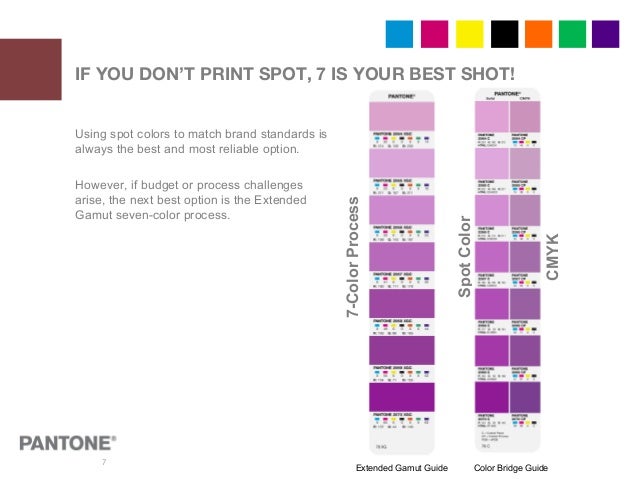 Using The Guide 7 Spot Colors