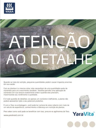 Revista Canavieiros - Junho de 2008

23

 