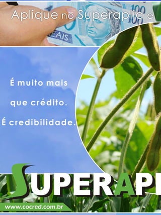 18

Revista Canavieiros - Agosto de 2008

 