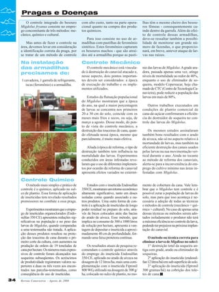 Pragas e Doenças
O controle integrado do besouro
Migdolus fryanus consiste no emprego concomitante de três métodos: mecânico, químico e cultural.
Mas antes de fazer o controle na
área, devemos levar em consideração
a identificação correta da praga, por
se tratar de um método de controle

Na instalação
das armadilhas
precisamos de:
1 cavadeira, 1 garrafa de refrigerante,
iscas (feromônio) e a armadilha.

com alto custo, tanto na parte operacional quanto na compra dos produtos químicos.
Para isso consiste no uso de armadilhas com pastilhas de feromônio
sintético. Estes feromônios capturam
os besouros machos - que são atraídos até a armadilha porque as pasti-

lhas têm o mesmo cheiro dos besouros fêmeas - consequentemente caindo dentro da garrafa. Além do efeito de controle dessas armadilhas,
deve-se ressaltar também a possibilidade de monitorar um grande número de fazendas, o que proporcionará, em breve, antever ataque de larvas nas raízes.

Controle Mecânico
O controle mecânico está vinculado à destruição do canavial atacado e,
nesse aspecto, dois pontos importantes devem ser considerados: a época
de execução do trabalho e os implementos utilizados.
Estudos da flutuação populacional
do Migdolus mostraram que a época
do ano, na qual a maior porcentagem
de larvas se concentra nos primeiros
20 a 30 cm do solo, coincide com os
meses mais frios e secos, ou seja, de
março a agosto. Desse modo, do ponto de vista do controle mecânico, a
destruição das touceiras de cana, quando efetuada nessa época, mesmo que
parcialmente, é muito mais efetiva.
Aliada à época de reforma, o tipo de
destruição também tem influência na
mortalidade das larvas. Experimentos
conduzidos em áreas infestadas revelaram que o uso de diferentes implementos por ocasião da reforma do canavial
apresenta efeitos variados no extermí-

nio das larvas de Migdolus. A grade aradora, passada apenas uma vez, atinge
níveis de mortalidade ao redor de 40%,
enquanto o uso de eliminador de soqueira, modelo Copersucar, hoje chamado de CTC (Centro de Tecnologia Canavieira), pode reduzir a população das
larvas em mais de 80%.
Outros trabalhos executados em
condições de plantio comercial de
cana-de-açúcar confirmaram a eficiência do destruidor de soqueira no controle das larvas do Migdolus.
Os mesmos estudos assinalaram
também bons resultados com o arado
de aiveca, não só no aspecto relativo à
mortandade de larvas, mas também na
eficiente destruição dos canais usados
pelas larvas na sua movimentação vertical durante o ano. Ainda no tocante
ao método de reforma dos canaviais,
alerta-se para a inconveniência do emprego do cultivo mínimo nas áreas infestadas com Migdolus.

Controle Químico
O método mais simples e prático de
controle é o químico, aplicado no sulco de plantio. Essa forma de aplicação
de inseticidas tem revelado resultados
promissores no combate a essa praga.
Experimentos mostraram que o emprego de inseticidas organoclorados (Endosulfan 350 CE) apresentou reduções significativas na população e no peso das
larvas de Migdolus, quando comparadas
a uma testemunha não tratada. A aplicação desses produtos resultou na proteção das touceiras de cana durante o primeiro corte da cultura, com aumentos na
produção da ordem de 19 toneladas de
cana por hectare. Os números mais expressivos de controle foram alcançados nas
soqueiras subseqüentes. Os acréscimos
de produtividade registraram valores superiores a duas ou três vezes aos encontrados nas parcelas-testemunhas, como
conseqüência do uso de inseticidas.
34

Revista Canavieiros - Agosto de 2008

Estudos com o inseticida Endosulfan
350 CE, mostraram um retorno econômico
altamente significativo, tanto em doses
isoladas como quando associado a outros produtos. Uma outra forma de controle é a aplicação de inseticidas de longo
poder residual no preparo do solo, através de bicos colocados atrás das bacias
do arado de aiveca. Esse método, que
implica no consumo de 300 a 1000 litros
de solução por hectare, apresenta a vantagem de depositar o inseticida a aproximadamente 40 cm de profundidade, formando uma faixa protetora contínua.
Os resultados atuais de pesquisa recomendam o controle químico através
do emprego do inseticida Endosulfan
350 CE, aplicado no arado de aiveca na
dosagem de 12 litros/ha, mais uma complementação com o inseticida Fipronil
800 WG, utilizado na dosagem de 300 g/
ha, colocado no sulco de plantio, no mo-

mento de cobertura da cana. Vale lembrar que o Migdolus tem controle e é
possível zerar a população de larvas do
solo, mas para que isso aconteça é necessária a adoção de todas as técnicas
e métodos de controle (mecânico + químico + cultural). No caso de apenas uma
dessas técnicas ou métodos serem adotados isoladamente o produtor não terá
a máxima eficiência no controle da larva,
podendo ter prejuízos na próxima implantação do canavial.
O método ou técnica correta para
eliminar a larva de Migdlous no solo é:
1° destruição total da soqueira antiga com grade, arado ou eliminador de
soqueiras.
2º aplicação do inseticida (endosulfan 12 litros/há) em sub superfície do solo.
3° aplicação do inseticida (fipronil
300 gramas/há) na cobrição dos toletes de cana.

 