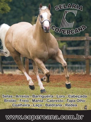 2

Revista Canavieiros - Setembro de 2008

 