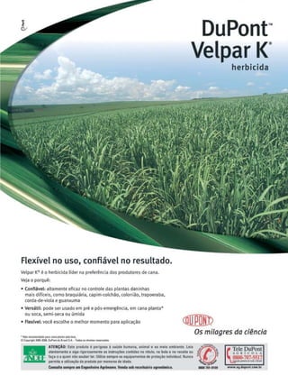 Revista Canavieiros - Setembro de 2008

25

 