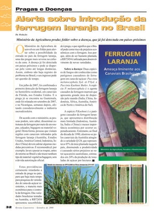 Pragas e Doenças

Alerta sobre introdução da
ferrugem laranja no Brasil
Da Redação

Ministério da Agricultura produz folder sobre a doença, que já foi detectada em países próximos

O

Ministério da Agricultura de
senvolveu um folder para alertar sobre a possibilidade da
entrada no país da ferrugem laranja,
uma das pragas mais severas na cultura da cana. A doença já foi detectada
em países próximos e pode se dispersar pelo vento até longas distâncias.
Assim, embora não haja registro do
problema no Brasil, o seu ingresso pode
ser questão de tempo.
Em julho de 2007, foi confirmada a
primeira detecção da ferrugem laranja
no hemisfério ocidental, em canaviais
da Flórida, nos Estados Unidos. E a
praga já se encontra na Guatemala,
onde foi relatada em setembro de 2007,
e na Nicarágua, semanas depois, afetando consideravelmente a indústria
sucroalcooleira.
De acordo com o ministério, as pessoas podem, sem saber, disseminar estruturas da ferrugem por meio de em roupas, calçados, bagagem ou material vegetal. Desta forma, pessoas que visitam
regiões com canaviais infestados pela
ferrugem laranja (Austrália, Estados
Unidos, América Central, Indonésia, Índia e China) devem adotar algumas medidas preventivas. É recomendável, por
exemplo, lavar e passar as roupas, antes
do retorno ao
Ciclo Brasil e não trazer nenhum
Biológico
tipo de material vegetal na bagagem, sem
a devida autorização oficial.
Estas providências
certamente retardarão a
entrada da praga no país,
para que haja mais tempo
para pesquisas de variedades de cana-de-açúcar resistentes, a maneira mais
econômica para o controle da ferrugem. Das variedades brasileiras testadas
na Austrália, a RB72454
apresentou suscetibilida32

Revista Canavieiros - Setembro de 2008

de à praga, o que significa que o Brasil pode correr risco de prejuízos econômicos com a ferrugem. Isso porque, além de ser bastante plantada,
a RB72454 é utilizada para desenvolvimento de novas variedades.
Sobre a doença: Duas espécies de fungos são conhecidas como
patógenos causadores de ferrugem em cana-de-açúcar: Puccinia
melanocephala Syd. et P.Syd. e
Puccinia Kuehnni Butler. A espécie P. melanocephala é o agente
causador da ferrugem marrom que
apresenta grande área de dispersão pelo mundo (Índia, China, Indonésia, África, Austrália, América do Norte e América do Sul).
A espécie P.Kuehnni é o patógeno causador da ferrugem laranja, que apresentava distribuição
mais limitada (Indonésia, Austrália, Índia e China) e menor importância econômica por ocorrer esporadicamente. Entretanto, ao final
da década de 1990, alastrou-se pelos canaviais da Austrália atingindo a variedade Q124, que representava 45% da área plantada naquele
país, diminuindo a produtividade
e causando sérios prejuízos ao setor açucareiro australiano, estimados em 24% da produção de toneladas de açúcar por hectares.

 