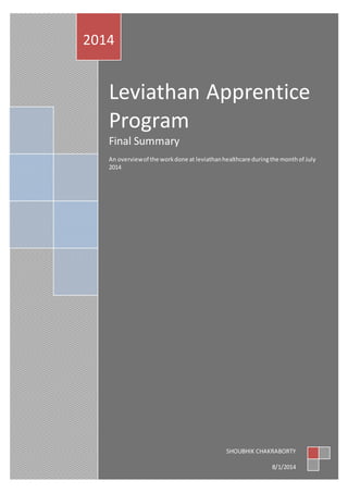 Leviathan Apprentice
Program
Final Summary
An overviewof the workdone at leviathanhealthcare duringthe monthof July
2014
2014
SHOUBHIK CHAKRABORTY
8/1/2014
 