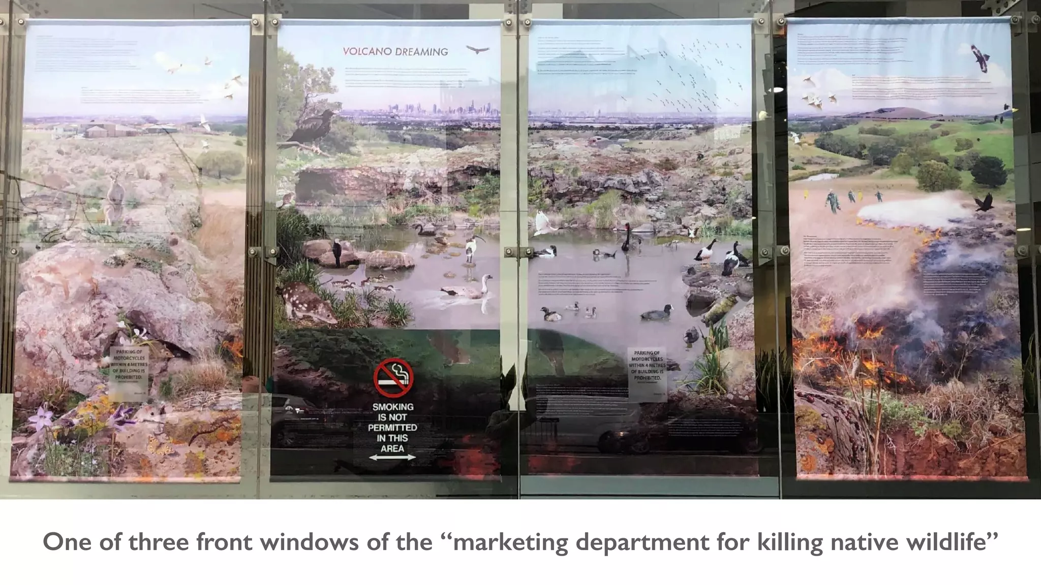 One of three front windows of the “marketing department for killing native wildlife”
 