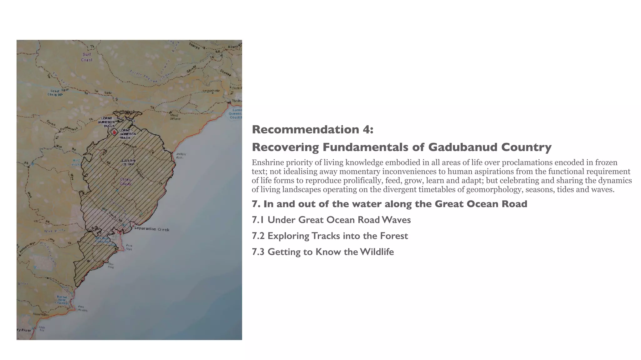 Recommendation 4:
Recovering Fundamentals of Gadubanud Country
Enshrine priority of living knowledge embodied in all areas of life over proclamations encoded in frozen
text; not idealising away momentary inconveniences to human aspirations from the functional requirement
of life forms to reproduce prolifically, feed, grow, learn and adapt; but celebrating and sharing the dynamics
of living landscapes operating on the divergent timetables of geomorphology, seasons, tides and waves.
7. In and out of the water along the Great Ocean Road
7.1 Under Great Ocean Road Waves
7.2 Exploring Tracks into the Forest
7.3 Getting to Know the Wildlife
 