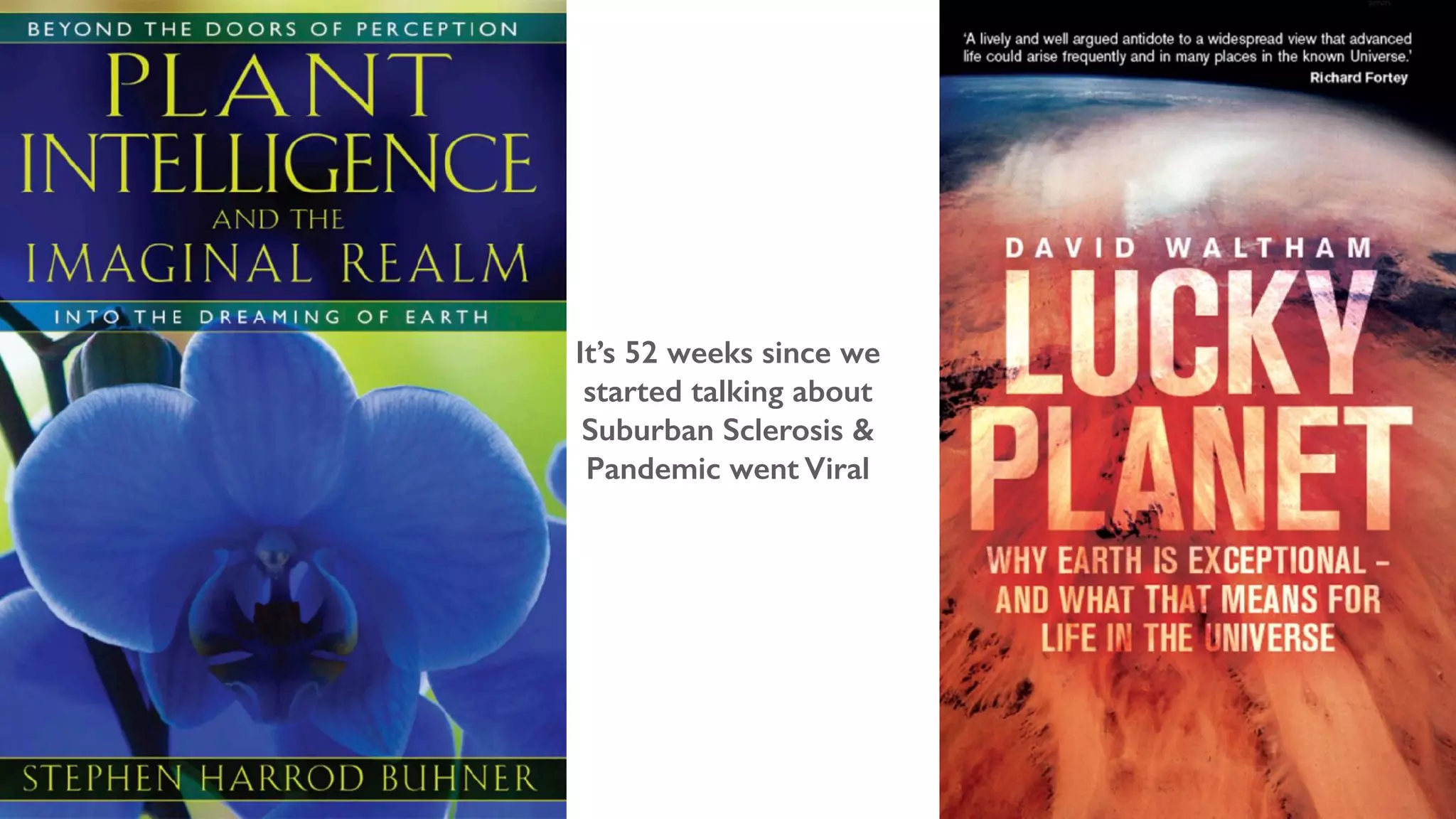 It’s 52 weeks since we
started talking about
Suburban Sclerosis &
Pandemic went Viral
 