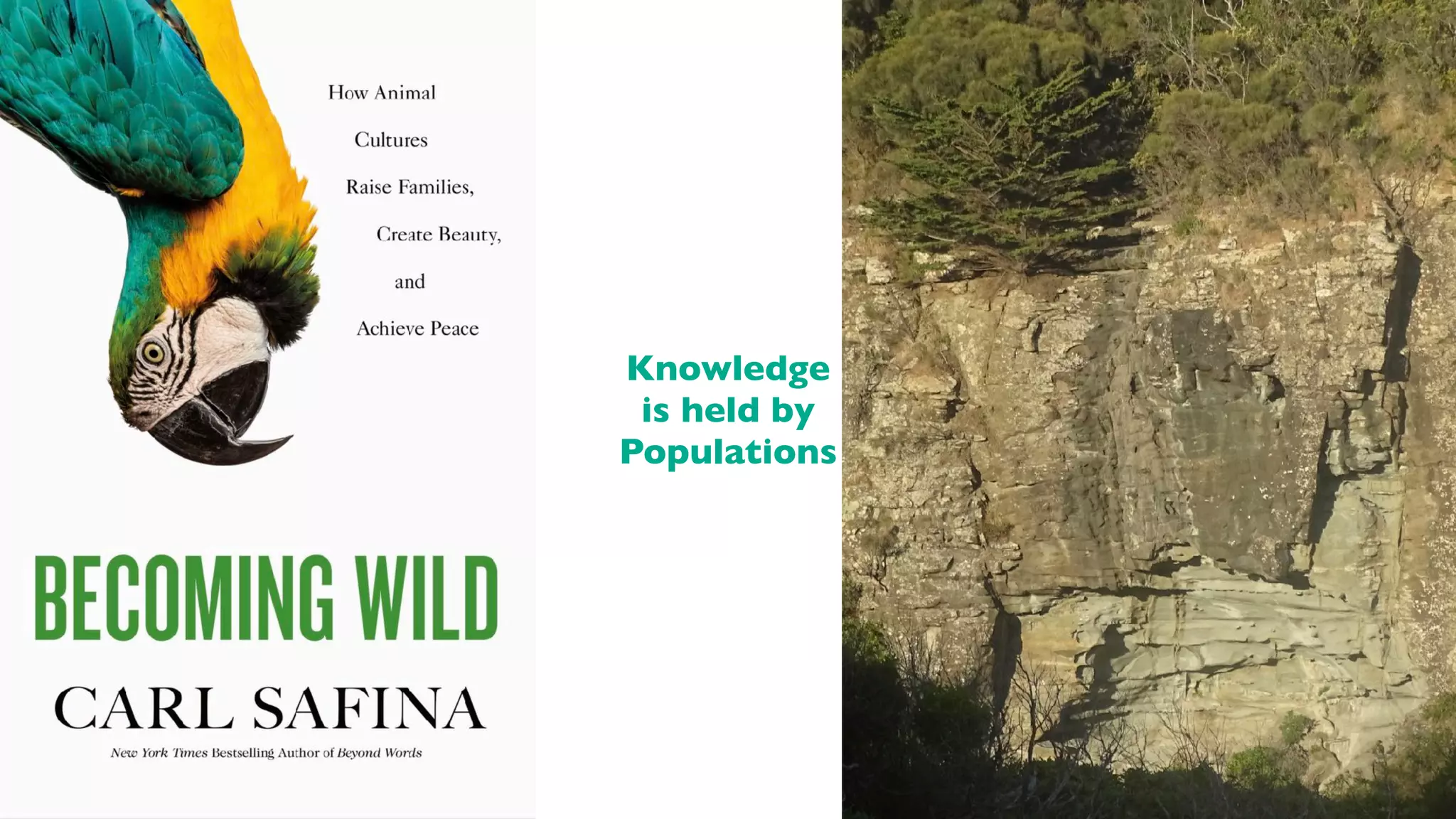 Knowledge
is held by
Populations
 