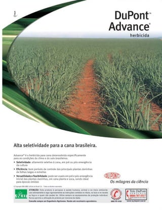 Revista Canavieiros - Dezembro de 2008

11

 