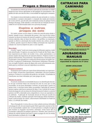 Pragas e Doenças
Os métodos de controle que incluem a aplicação de inseticidas ou a distribuição de iscas tóxicas apresentam as desvantagens de necessitarem o dispêndio elevado com mão-de-obra e a necessidade de reaplicações constantes.
Em relação às áreas destinadas ao plantio de cana incluindo os viveiros,
recomenda-se o preparo antecipado e a inspeção das mudas provenientes
do viveiro anterior, que deverão estar totalmente isentas de qualquer forma
biológica da praga, sendo adotado o corte basal alto em situações de necessidade de uso de determinada muda com a presença da praga.

Cupins e outras
pragas de solo
Os cupins causam severos danos à cultura da cana-de-açúcar desde o
plantio, quando ocorre a destruição das gemas e das reservas dos toletes
semente; no desenvolvimento do canavial, quando se verifica a redução do
sistema radicular, dano às bases de colmos e de perfilhos; na maturação,
quando se observa a destruição dos tecidos internos dos colmos; até após
a colheita, quando é possível observar falhas na brotação das soqueiras e
redução nas reservas disponíveis para o ciclo seguinte.
Bioecologia
O termo “cupins” inclui um extenso grupo de diferentes espécies, tendo
sido identificadas 14 espécies em canaviais do Estado de São Paulo, algumas responsáveis por danos em tecidos vivos, outras oportunistas e as
demais simples decompositoras de material celulósico. Podemos incluir os
gêneros Heterotermes, Procornitermes, Neocapritermes e Syntermes entre
os principais e mais prejudiciais à cultura da cana-de-açúcar, na região Centro-Sul, e os gêneros Cylindrotermes, Velocitermes, Amitermes e Nasutitermes, na região Nordeste, apesar de alguns não serem suficientemente estudados para se confirmar a sua real importância econômica.
Prejuízos econômicos
Os prejuízos provocados por cupins foram determinados em experimentos de campo, em parcelas experimentais, submetidas a diversos produtos
químicos. Estima-se a ocorrência de perdas de, em média, 10 toneladas de
cana/ha/ano nas áreas infestadas por estas pragas de solo.
Métodos de controle
O controle atualmente recomendado baseia-se na identificação das áreas em que ocorreram danos nas touceiras de cana no ciclo que se está
encerrando, ou nas áreas destinadas à reforma, em geral após o quarto ou
quinto corte, e com base nestes dados recomendar a aplicação de controle
químico apenas onde houver potencial de dano. Com o método de levantamento de pragas de solo em áreas de reforma foi possível reduzir o controle
químico em 86%, reduzindo custos, desperdícios e riscos aos operadores e
ao ambiente. A aplicação de inseticidas deverá ser feita por ocasião da
cobrição das mudas, mediante operação tratorizada que efetua simultaneamente a pulverização dos toletes, anteriormente distribuídos no fundo do
sulco, e a cobrição das mudas.
Para a formação de viveiros, deve-se evitar o plantio em áreas infestadas
com pragas de solo, de uma maneira geral. Outro agravante consiste no fato
de ser recomendado o plantio dos viveiros próximos a coleções de águas
para facilitar as irrigações necessárias, entretanto, nestes locais não se
recomenda a aplicação de qualquer agrotóxico. Portanto, não é possível a
adoção de controle químico preventivo contra as pragas de solo em muitas
áreas destinadas ao plantio de viveiros.
Revista Canavieiros - Janeiro de 2009

35

 