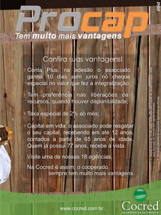 Revista Canavieiros - Fevereiro de 2009

17

 