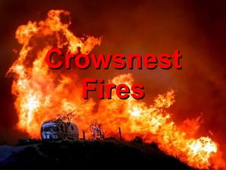 Crowsnest Fires 