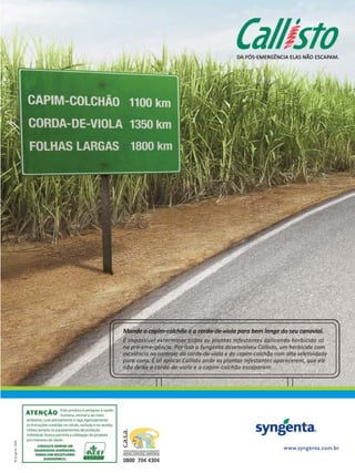 Revista Canavieiros - Setembro de 2009

35

 