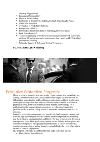 Security Proposal for High Profile/Government Individual | PDF