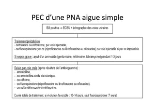 PEC d’une PNA aigue simple




                        AFSSAPS 2008
 