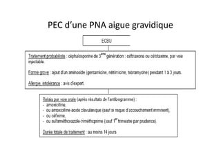 PEC d’une PNA aigue gravidique




                             AFSSAPS 2008
 