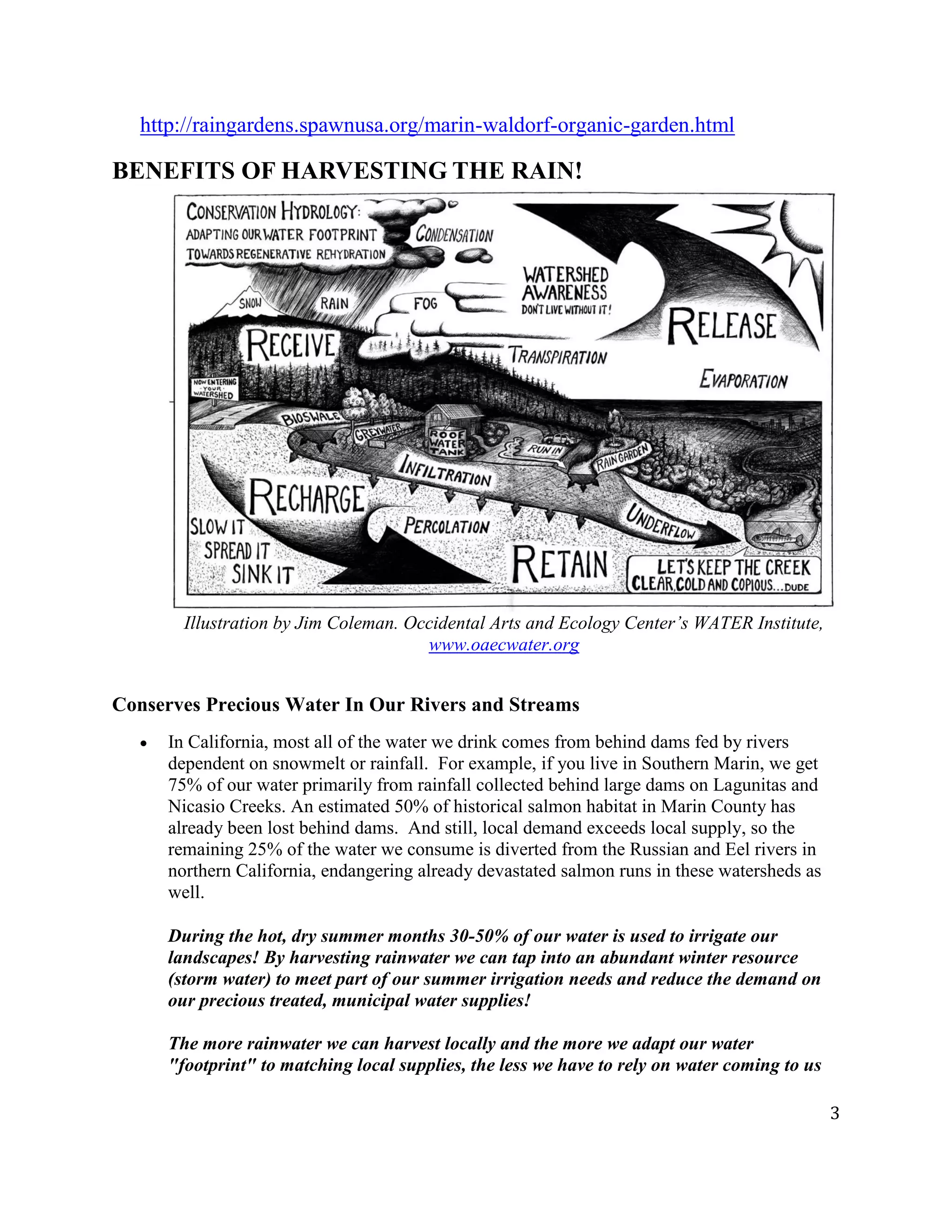 3
http://raingardens.spawnusa.org/marin-waldorf-organic-garden.html
BENEFITS OF HARVESTING THE RAIN!
Illustration by Jim Coleman. Occidental Arts and Ecology Center’s WATER Institute,
www.oaecwater.org
Conserves Precious Water In Our Rivers and Streams
In California, most all of the water we drink comes from behind dams fed by rivers
dependent on snowmelt or rainfall. For example, if you live in Southern Marin, we get
75% of our water primarily from rainfall collected behind large dams on Lagunitas and
Nicasio Creeks. An estimated 50% of historical salmon habitat in Marin County has
already been lost behind dams. And still, local demand exceeds local supply, so the
remaining 25% of the water we consume is diverted from the Russian and Eel rivers in
northern California, endangering already devastated salmon runs in these watersheds as
well.
During the hot, dry summer months 30-50% of our water is used to irrigate our
landscapes! By harvesting rainwater we can tap into an abundant winter resource
(storm water) to meet part of our summer irrigation needs and reduce the demand on
our precious treated, municipal water supplies!
The more rainwater we can harvest locally and the more we adapt our water
"footprint" to matching local supplies, the less we have to rely on water coming to us
 