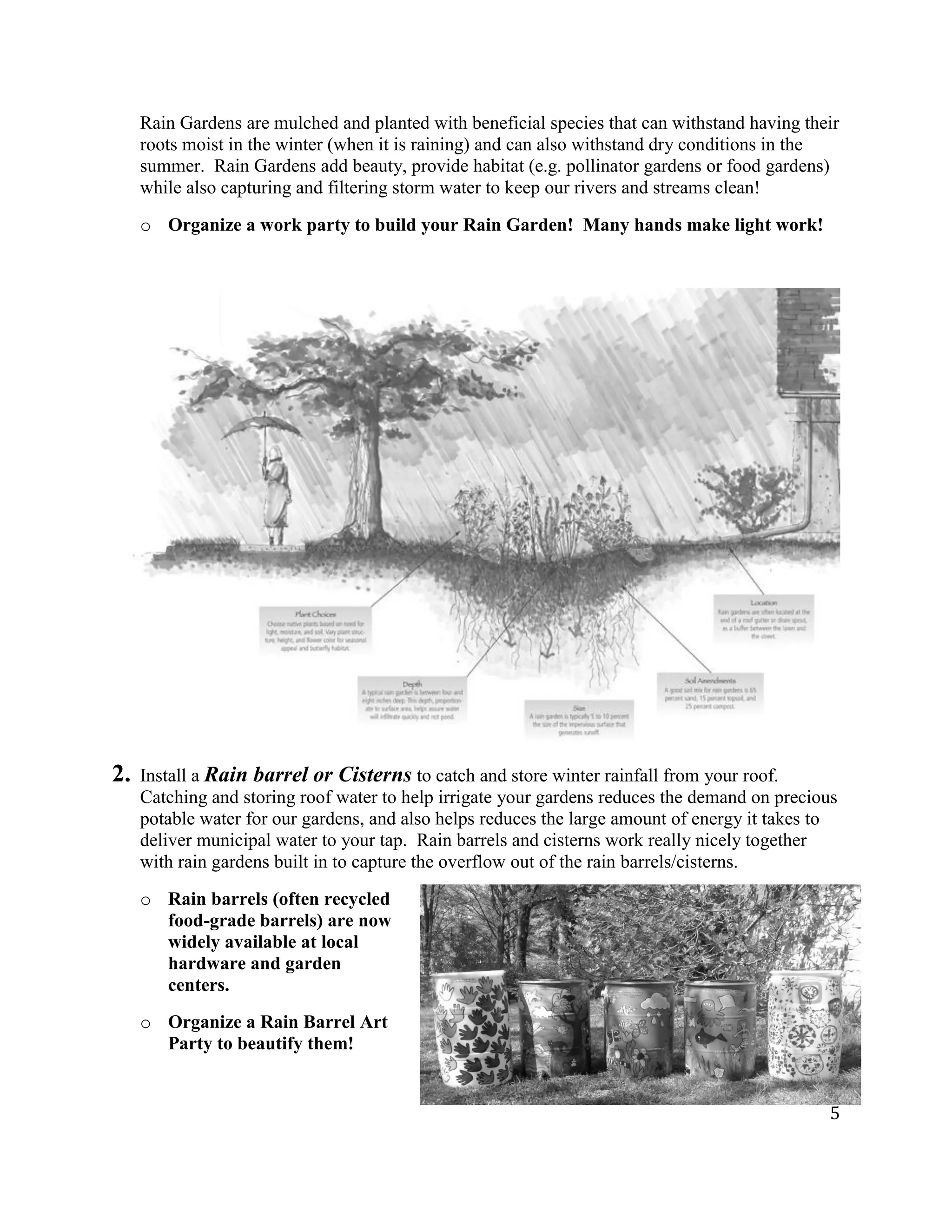 5
Rain Gardens are mulched and planted with beneficial species that can withstand having their
roots moist in the winter (when it is raining) and can also withstand dry conditions in the
summer. Rain Gardens add beauty, provide habitat (e.g. pollinator gardens or food gardens)
while also capturing and filtering storm water to keep our rivers and streams clean!
o Organize a work party to build your Rain Garden! Many hands make light work!
2. Install a Rain barrel or Cisterns to catch and store winter rainfall from your roof.
Catching and storing roof water to help irrigate your gardens reduces the demand on precious
potable water for our gardens, and also helps reduces the large amount of energy it takes to
deliver municipal water to your tap. Rain barrels and cisterns work really nicely together
with rain gardens built in to capture the overflow out of the rain barrels/cisterns.
o Rain barrels (often recycled
food-grade barrels) are now
widely available at local
hardware and garden
centers.
o Organize a Rain Barrel Art
Party to beautify them!
 