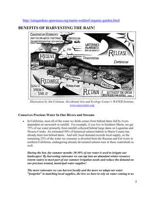 3
http://raingardens.spawnusa.org/marin-waldorf-organic-garden.html
BENEFITS OF HARVESTING THE RAIN!
Illustration by Jim Coleman. Occidental Arts and Ecology Center’s WATER Institute,
www.oaecwater.org
Conserves Precious Water In Our Rivers and Streams
In California, most all of the water we drink comes from behind dams fed by rivers
dependent on snowmelt or rainfall. For example, if you live in Southern Marin, we get
75% of our water primarily from rainfall collected behind large dams on Lagunitas and
Nicasio Creeks. An estimated 50% of historical salmon habitat in Marin County has
already been lost behind dams. And still, local demand exceeds local supply, so the
remaining 25% of the water we consume is diverted from the Russian and Eel rivers in
northern California, endangering already devastated salmon runs in these watersheds as
well.
During the hot, dry summer months 30-50% of our water is used to irrigate our
landscapes! By harvesting rainwater we can tap into an abundant winter resource
(storm water) to meet part of our summer irrigation needs and reduce the demand on
our precious treated, municipal water supplies!
The more rainwater we can harvest locally and the more we adapt our water
"footprint" to matching local supplies, the less we have to rely on water coming to us
 