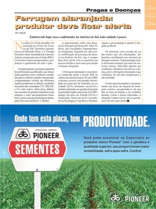 Pragas e Doenças

Ferrugem alaranjada:
produtor deve ficar alerta
Da redação

Embora não haja casos confirmados na América do Sul, todo cuidado é pouco

N

os dias 23 e 24 de setembro, foi
realizado no Centro de Eventos do IAC (Instituto Agronômico) em Ribeirão Preto, o 3º Grande
Encontro sobre Variedades de Cana-deAçúcar, em parceria com o Grupo IDEA.
O encontro reuniu pesquisadores, produtores e agrônomos de todo o país
Os participantes assistiram palestras
de profissionais qualificados, que discutiram questões como: melhores variedades para a colheita e plantio mecanizado,
comportamento varietal nas diferentes
regiões produtoras no Brasil, resultados
de ensaios das variedades CTC, RB, IAC
e CV, entre outros. Além disso, debateram assuntos de grande importância que
atingem o setor sucroenergético brasileiro, como a ameaça da ferrugem alaranjada (Puccinia kuehnii E. J. Butler).

A apresentação sobre esta doença foi feita pelo professor Dr. Eder Giglioti, das Faculdades Adamantinenses Integradas. Segundo ele, não existe confirmação da presença da doença na América do Sul, mas é sempre
bom ficar alerta. Ela se manifesta em
épocas úmidas e tem como prevenção
o manejo integrado.
A ferrugem alaranjada é uma doença conhecida desde o século XIX na
cultura da cana-de-açúcar. No ano 2000,
a doença ocorreu com grande intensidade em canaviais da Austrália, na variedade Q124, altamente suscetível e
também plantada em grande proporção
na principal região canavieira. Em 2007,
atingiu lavouras da Flórida (EUA) e
Guatemala. Neste ano já foi constatado na Nicarágua, Costa Rica e Panamá.

Agora, a preocupação é quanto à chegada ao Brasil.
Os sintomas, com exceção da cor
das lesões que são alaranjadas, são
bastante semelhantes aos sintomas da
ferrugem marrom. A disseminação ocorre da mesma maneira, por meio de correntes aéreas, diferindo apenas nas
condições climáticas favoráveis à doença, pois a ferrugem alaranjada exige
condições de elevada temperatura e
alta umidade.
O setor precisa ampliar o monitoramento nas áreas de suspeita de ferrugem comum, assegurando-se de que
não se trata da doença e ter cuidados
durante visitas a locais infectados. A
chegada é imprevisível, mas os produtores devem estar alerta.

Revista Canavieiros - Outubro de 2009

15

 