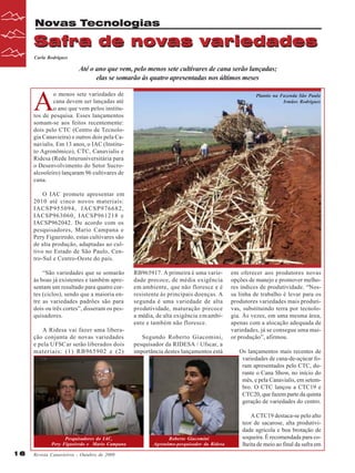 Novas Tecnologias

Safra de novas variedades
Carla Rodrigues

Até o ano que vem, pelo menos sete cultivares de cana serão lançadas;
elas se somarão às quatro apresentadas nos últimos meses

A

o menos sete variedades de
cana devem ser lançadas até
o ano que vem pelos institutos de pesquisa. Esses lançamentos
somam-se aos feitos recentemente:
dois pelo CTC (Centro de Tecnologia Canavieira) e outros dois pela Canavialis. Em 13 anos, o IAC (Instituto Agronômico), CTC, Canavialis e
Ridesa (Rede Interuniversitária para
o Desenvolvimento do Setor Sucroalcooleiro) lançaram 96 cultivares de
cana.

Plantio na Fazenda São Paulo
Irmãos Rodrigues

O IAC promete apresentar em
2010 até cinco novos materiais:
IACSP955094, IACSP976682,
IACSP963060, IACSP961218 e
IACSP962042. De acordo com os
pesquisadores, Mario Campana e
Pery Figueiredo, estas cultivares são
de alta produção, adaptadas ao cultivo no Estado de São Paulo, Centro-Sul e Centro-Oeste do país.
“São variedades que se somarão
às boas já existentes e também apresentam um resultado para quatro cortes (ciclos), sendo que a maioria entre as variedades padrões são para
dois ou três cortes”, disseram os pesquisadores.
A Ridesa vai fazer uma liberação conjunta de novas variedades
e pela UFSCar serão liberados dois
materiais: (1) RB965902 e (2)

Pesquisadores do IAC,
Pery Figueiredo e Mario Campana

16

Revista Canavieiros - Outubro de 2009

RB965917. A primeira é uma variedade precoce, de média exigência
em ambiente, que não floresce e é
resistente às principais doenças. A
segunda é uma variedade de alta
produtividade, maturação precoce
a média, de alta exigência em ambiente e também não floresce.
Segundo Roberto Giacomini,
pesquisador da RIDESA / Ufscar, a
importância destes lançamentos está

Roberto Giacomini
Agronômo-pesquisador da Ridesa

em oferecer aos produtores novas
opções de manejo e promover melhores índices de produtividade. “Nossa linha de trabalho é levar para os
produtores variedades mais produtivas, substituindo terra por tecnologia. Às vezes, em uma mesma área,
apenas com a alocação adequada de
variedades, já se consegue uma maior produção”, afirmou.
Os lançamentos mais recentes de
variedades de cana-de-açúcar foram apresentados pelo CTC, durante o Cana Show, no início do
mês, e pela Canavialis, em setembro. O CTC lançou a CTC19 e
CTC20, que fazem parte da quinta
geração de variedades do centro.
A CTC19 destaca-se pelo alto
teor de sacarose, alta produtividade agrícola e boa brotação de
soqueira. É recomendada para colheita de meio ao final da safra em

 