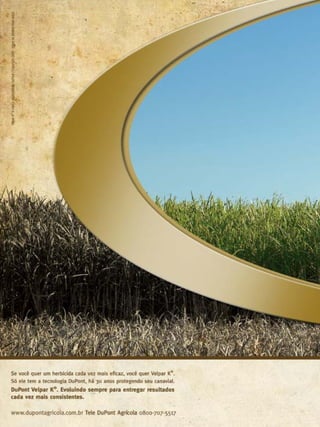 20

Revista Canavieiros - Outubro de 2009

 