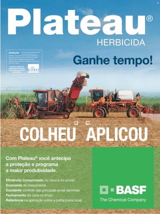 Revista Canavieiros - Outubro de 2009

39

 