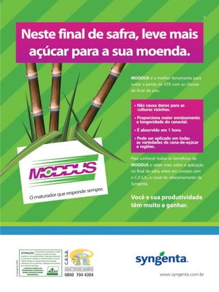 Revista Canavieiros - Outubro de 2009

9

 