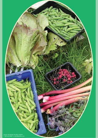 Layout and design by John Hughes.
T: 087-6431805. E: john@killcasa.com.
 