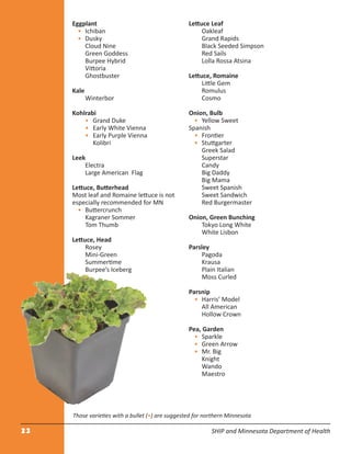 23 SHIP and Minnesota Department of Health
Eggplant
• Ichiban
• Dusky
Cloud Nine
Green Goddess
Burpee Hybrid
Vittoria
Ghostbuster
Kale
Winterbor
Kohlrabi
• Grand Duke
• Early White Vienna
• Early Purple Vienna
Kolibri
Leek
Electra
Large American Flag
Lettuce, Butterhead
Most leaf and Romaine lettuce is not
especially recommended for MN
• Buttercrunch
Kagraner Sommer
Tom Thumb
Lettuce, Head
Rosey
Mini-Green
Summertime
Burpee’s Iceberg
Lettuce Leaf
Oakleaf
Grand Rapids
Black Seeded Simpson
Red Sails
Lolla Rossa Atsina
Lettuce, Romaine
Little Gem
Romulus
Cosmo
Onion, Bulb
• Yellow Sweet
Spanish
• Frontier
• Stuttgarter
Greek Salad
Superstar
Candy
Big Daddy
Big Mama
Sweet Spanish
Sweet Sandwich
Red Burgermaster
Onion, Green Bunching
Tokyo Long White
White Lisbon
Parsley
Pagoda
Krausa
Plain Italian
Moss Curled
Parsnip
• Harris’ Model
All American
Hollow Crown
Pea, Garden
• Sparkle
• Green Arrow
• Mr. Big
Knight
Wando
Maestro
Those varieties with a bullet (•) are suggested for northern Minnesota
 
