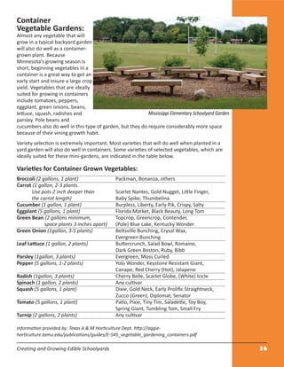 Creating and Growing Edible Schoolyards 26
Container
Vegetable Gardens:
Almost any vegetable that will
grow in a typical backyard garden
will also do well as a container-
grown plant. Because
Minnesota’s growing season is
short, beginning vegetables in a
container is a great way to get an
early start and insure a large crop
yield. Vegetables that are ideally
suited for growing in containers
include tomatoes, peppers,
eggplant, green onions, beans,
lettuce, squash, radishes and
parsley. Pole beans and
cucumbers also do well in this type of garden, but they do require considerably more space
because of their vining growth habit.
Variety selection is extremely important. Most varieties that will do well when planted in a
yard garden will also do well in containers. Some varieties of selected vegetables, which are
ideally suited for these mini-gardens, are indicated in the table below.
Varieties for Container Grown Vegetables:
Broccoli (2 gallons, 1 plant) Packman, Bonanza, others
Carrot (1 gallon, 2-3 plants.
Use pots 2 inch deeper than Scarlet Nantes, Gold Nugget, Little Finger,
the carrot length) Baby Spike, Thumbelina
Cucumber (1 gallon, 1 plant) Burpless, Liberty, Early Pik, Crispy, Salty
Eggplant (5 gallons, 1 plant) Florida Market, Black Beauty, Long Tom
Green Bean (2 gallons minimum, Topcrop, Greencrop, Contender,
space plants 3 inches apart) (Pole) Blue Lake, Kentucky Wonder
Green Onion (1gallon, 3-5 plants) Beltsville Bunching, Crysal Wax,
Evergreen Bunching
Leaf Lettuce (1 gallon, 2 plants) Buttercrunch, Salad Bowl, Romaine,
Dark Green Boston, Ruby, Bibb
Parsley (1gallon, 3 plants) Evergreen, Moss Curled
Pepper (5 gallons, 1-2 plants) Yolo Wonder, Keystone Resistant Giant,
Canape, Red Cherry (Hot), Jalapeno
Radish (1gallon, 3 plants) Cherry Belle, Scarlet Globe, (White) Icicle
Spinach (1 gallon, 2 plants) Any cultivar
Squash (5 gallons, 1 plant) Dixie, Gold Neck, Early Proliﬁc Straightneck,
Zucco (Green), Diplomat, Senator
Tomato (5 gallons, 1 plant) Patio, Pixie, Tiny Tim, Saladette, Toy Boy,
Spring Giant, Tumbling Tom, Small Fry
Turnip (2 gallons, 2 plants) Any cultivar
Information provided by: Texas A & M Horticulture Dept. http://aggie-
horticulture.tamu.edu/publications/guides/E-545_vegetable_gardening_containers.pdf
Mississippi Elementary Schoolyard Garden
 