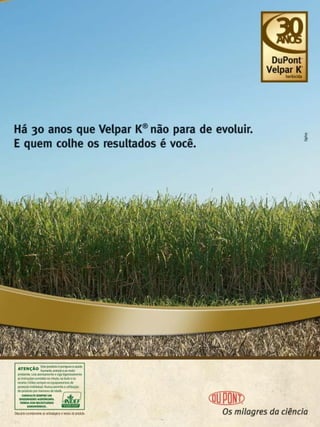 Revista Canavieiros - Novembro de 2009

21

 