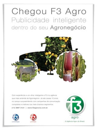 Revista Canavieiros - Novembro de 2009

29

 