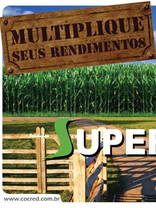 34

Revista Canavieiros - Novembro de 2009

 