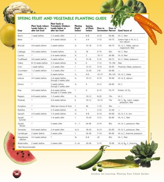 Gardens for Learning: Planting Your School Garden Gardens for Learning: Planting Your School Garden66
SPRING FRUIT AND VEGETABLE PLANTING GUIDE
		 Plant Seeds or
	 Plant Seeds indoors	 Transplants Outdoors	 Planting	 Spacing
	 (weeks before or	 (weeks before or	 Depth	 of Plants	 Days to	 Days to
Crop	 after last frost)	 after last frost)	 (inches)	 (inches)	 Germination	Harvest	 Good Source of
Beans	 1 week before	 1–2 weeks after	 1	 6–8	 4–10	 60–80	 Vit. C, fiber
Beets	 *	 2–4 weeks before	 ½	 2–4	 7–10	 50–75	 Greens high in Vit. A, C,
							 iron calcium
Broccoli	 4–6 weeks before	 2 weeks before	 ¼	 15–18	 5–10	 60–75	 Vit. A, C, folate, calcium,
							 magnesium, fiber
Cabbage	 4–6 weeks before	 4 weeks before	 ¼	 18	 4–10	 60+	 Vit. C, fiber
Carrots	 *	 2–4 weeks before	 ¼	 2	 10–17	 60–80	 Vit. A, fiber
Cauliflower	 4–6 weeks before	 2 weeks before	 ¼	 15–18	 5–10	 60–72	 Vit. C, folate, potassium
Celery	 8–10 weeks before	 2–3 weeks before	 ¼	 6	 7–12	 75–100	 Fiber
Corn	 1 week before	 1–2 weeks after	 1	 12–15	 3–10	 50–95	 Thiamine, folate, potassium
Cucumbers	 1–2 weeks before	 1–2 weeks after	 1	 12–24	 3–8	 60–80	 —
Garlic	 *	 6 weeks before	 ½	 4–6	 10–15	 90–120	 Vit. A, C, folate
Lettuce	 4–5 weeks before	 2–4 weeks before	 ¼	 10–12	 4–10	 45–60	 Vit. A, K, calcium
		 through 3 weeks after
Onions	 *	 3 weeks before	 ¼	 4	 4–12	 60–85	 Vit. C
		 through 2 weeks after
Peas	 4–6 weeks before	 4–6 weeks before	 1	 4	 6–15	 55–75	 Protein, Vit. B1
		 through 2–3 weeks after
Peppers	 6–8 weeks before	 1–3 weeks after	 ½	 10–12	 8–20	 70+	 Vit. C
Potatoes	 *	 4–6 weeks before	 6	 10–12	 10–15	 70+	 Vit. C, B6, niacin, copper,
							 potassium, fiber
Pumpkins	 *	 After last chance of frost	 1	 36	 7–10	 90+	 —
Radishes	 *	 2–4 weeks before	 ¼	 1	 3–10	 25–40	 —
Spinach	 3–4 weeks before	 1–3 weeks before	 ¼	 4–8	 6–14	 40–60	 Vit. A, C, K, iron
Squash,	 *	 1–4 weeks after	 1	 15–24	 3–12	 60–85	 Vit. A, C, fiber
Summer
Squash, 	 *	 2 weeks after	 ½ – 1	 24–36	 4–10	 80+	 Vit. A, C, potassium, fiber
Winter
Tomatoes	 6–8 weeks before	 2–4 weeks after	 ¼–½	 18–24	 6–14	 65–85	 Vit. A, C, potassium, fiber
Cantaloupe	 2 weeks before	 2 weeks after	 1	 24–36	 7–14	 60–90	 Vit. A, C, thiamine, potassium
Strawberries	 3–5 weeks before	 *	 1/8	 6–8	 20	 85+	 Vit. C, fiber
(Alpine)
Watermelon	 2 weeks before	 2 weeks after	 ½ –¾	 24–36	 5–10	 70–90	 Vit. A, B6, C, thiamine
*Not Recommended
Photos:5ADay
 