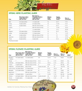 Gardens for Learning: Planting Your School Garden67
SPRING HERB PLANTING GUIDE
		 Plant Seeds or
	 Plant Seeds indoors	 Transplants Outdoors	 Planting	 Spacing
	 (weeks before or	 (weeks before or	 Depth	 of Plants	 Days to
Crop	 after last frost)	 after last frost)	 (inches)	 (inches)	 Germination
Basil	 4–6 weeks before	 1–2 weeks after	 1/8	 6–12	7–10
Catnip	 6 weeks before	 2–4 weeks before	 1/8	 12–18	5–14
Chives	 6 weeks before	 After last chance of frost	 ¼	 8–12	 5–14
Cilantro	 *	 After last chance of frost	 ½	 12–18	 10–15
Dill	 *	 1–2 weeks before	 ¼	 3–12	 20–25
Oregano	 6–8 weeks before	 2–4 weeks before	 1/8	 8–12	8–14
Parsley	 4–6 weeks before	 1–2 weeks before	 ¼	 6	 11–27
Sage	 4 weeks before	 After last chance of frost	 ¼	 12	 14–21
Spearmint	 6 weeks before	 After last chance of frost	 1/8	18	10–16
Thyme	 8 weeks before	 2 weeks after	 1/8	 6–12	20–30
*Not Recommended
Spring Flower Planting Guide
		 Plant Seeds or
	 Plant Seeds indoors	 Transplants Outdoors	 Planting	 Spacing
	 (weeks before or	 (weeks before or	 Depth	 of Plants	 Days to	 Days to
Crop	 after last frost)	 after last frost)	 (inches)	 (inches)	 Germination	Harvest	 Edible?
Bachelor’s 	 4–5 weeks before	 1–2 weeks before	 1/4	 12–14	 7–14	 50–60	 Yes, petals
Buttons
Borage	 *	 After last chance of frost	 ¼–½	 12	 5–10	 45–50	 Yes
Calendula	 6–8 weeks before	 After last chance of frost	 ¼–½	 10–12	 5–15	 40–50	 Yes
Cosmos	 4 weeks before	 After last chance of frost	 ¼	 8–24	 5–7	 90–100	 No
Hollyhocks	 6–8 weeks before	 Early summer	 0 (press into soil)	 24	 10	 120–150	 Yes
Love-in-a-mist	 4–6 weeks before	 2–4 weeks before	 1/8	 6–12	10–15	 60	 Yes
Marigolds	 8–10 weeks before	 1–2 weeks after	 1/8	 10–12	5–10	 70–80	 Yes
Nasturtiums	 *	 After last chance of frost	 ½	 6–12	 7–14	 40–60	 Yes
Sunflowers	 3–4 weeks before	 2 weeks before	 1–2	 12–24	 7–14	 80–120	 Yes, seeds
Tithonia	 6–8 weeks before	 After last chance of frost	 0 (press into soil)	 24	 10–15	 75–105	 No
Zinnias	 6 weeks before	 1–2 weeks after	 1/8	 6–12	5–10	 70	 No
*Not Recommended
Gardens for Learning: Planting Your School Garden
 