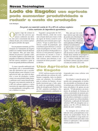 Novas Tecnologias

Lodo de Esgoto:

uso agrícola
pode aumentar produtividade e
reduzir o custo de produção

Carla Rodrigues

Em geral, esse material contém de 16 a 40% de carbono orgânico
e vários nutrientes de importância agronômica

O

esgoto é algo tão comum no
dia-a-dia das pessoas que
poucos conhecem seu destino, mas com o crescimento das áreas
urbanas do país, ele se tornou o principal agente poluidor das águas.
Em um primeiro momento, as ETEs
(Estações de Tratamentos de Esgoto)
podem ser a melhor forma de diminuir
seus impactos. Mas, por outro lado,
durante seu processo é gerado o lodo,
um resíduo orgânico e semi-sólido que
prejudica os mananciais, diminui a vida
útil dos aterros sanitários e pode se
tornar um grande problema ambiental.
E como a questão ambiental está
interligada com a sustentabilidade,
uma das alternativas que a sociedade pode adotar como solução é o uso
agrícola do lodo, que além de diminuir o custo de produção e poder
contar com uma produtividade maior,
o ambiente será o maior beneficiado.
Em geral, esse material contém de 16
a 40% de carbono orgânico e vários
nutrientes de importância agronômica, principalmente o nitrogênio, o cálcio, o fósforo e o zinco.

Segundo o pesquisador do IAC,
Ronaldo Berton, ainda não existe
uma solução ideal para tratar o lodo
de esgoto de forma a torná-lo completamente sem restrições para a agricultura. “O que se pode fazer é melhorar a saúde da população, que
contribuiria para diminuir a concentração de patógenos no lodo, a utilização de produtos biodegradáveis a
fim de se evitar poluentes orgânicos
persistentes no mesmo e evitar a
entrada de resíduos industriais na
rede coletora, para diminuir a concentração de metais pesados”, explica Berton.

Mas, para que isso aconteça é preciso que tudo esteja
de acordo com a Resolução nº
375 do CONAMA (Conselho
Nacional do Meio Ambiente),
norma aplicada em 2006 para estabelecer um planejamento agrícola para os locais
que irão receber o lodo de
esgoto. Uma das restriRonaldo Berton,
pesquisador do IAC
ções da norma é a não utilização desse material em pastagens e
no cultivo de olerícolas, tubérculos e raízes, e culturas inundadas, bem como
nas demais culturas cuja parte comestível entra em contato com o solo.

Uso Agrícola do Lodo
de Esgoto
O IAC realizou ensaios com lodo
sendo aplicado nas culturas do café,
banana e pupunha, tanto no plantio
como em cobertura. Os resultados
para as culturas da banana e da pupunha mostraram que o lodo, quando usado nas quantidades recomendadas de nitrogênio pelo Boletim 100
do IAC, aumenta a produção e dispensa completamente a adubação niAs plantas do lado esquerdo
receberam lodo (mais altas) e as
do lado direito da régua não
receberam adubação

trogenada para essas culturas sem
poluir o solo.
Em relação à cana-de-açúcar, de
acordo com o pesquisador, os resultados encontrados na literatura até agora mostram que o efeito do lodo no sistema solo-planta é de apenas um ano
agrícola. “O lodo promove um incremento de produção de biomassa de
colmos, acarretando em aumento proporcional de produtividade de açúcar.
Ele não altera a maturação e a concentração de açúcar nos colmos da planta.
Finalmente, a aplicação do lodo pode
substituir 100% do nitrogênio nas soqueiras e de 30 a 35% do fósforo no
plantio da cana”, esclarece.
As vantagens de se utilizar este
lodo são várias, principalmente as melhorias nas propriedades físicas do
solo, mas também se exige muito cuidado e conhecimento para saber como
realizar as aplicações e não acumular
metais pesados no solo.

30

Revista Canavieiros - Dezembro de 2009

gustavo nogu

 