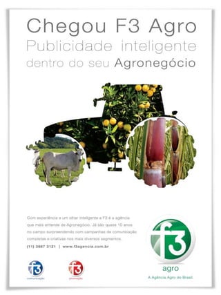 40

Revista Canavieiros - Dezembro de 2009

 