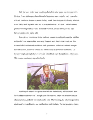 33
Fall Harvest. Under ideal conditions, baby leaf salad greens can be ready in 21-
28 days. Crops at Grayson, planted in early September, were ready by early November,
which is consistent with the expected timing. It took time though to develop my schedule
at the school with my other class and SOF responsibilities. We didn’t harvest our first
greens from the greenhouse until mid-late November, a week or two past the ideal
harvest size (about 3 inches tall).
Harvest was very simple for the students, because everything (except the radishes
and turnips) was harvested the same way. Students were shown how to cut, and then
allowed to harvest from any bed in the solar greenhouse. At harvest, students brought
their art scissors, washed of course, and cut the leaves as previously instructed. Cut
leaves were placed in plastic bowls which, when filled, were dumped into a pillowcase.
This process requires no specialized tools.
Washing the harvest took place in the kitchen area but only a few students were
involved because there wasn’t enough room for everyone. There was a limited amount
of counter space, and only one small double sink. After washing, the salad was put into a
giant salad bowl, and turnips and radishes into small baskets. The harvest, paper plates,
 